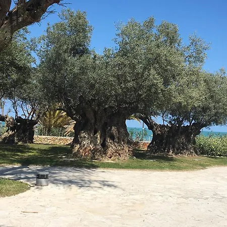 Due Passi Dal Mare San Benedetto del Tronto